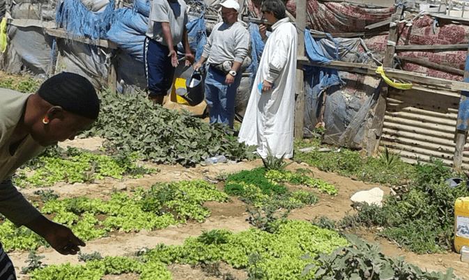 Foto de un agricultores plantando en el desierto, cada vez más verde y florecido